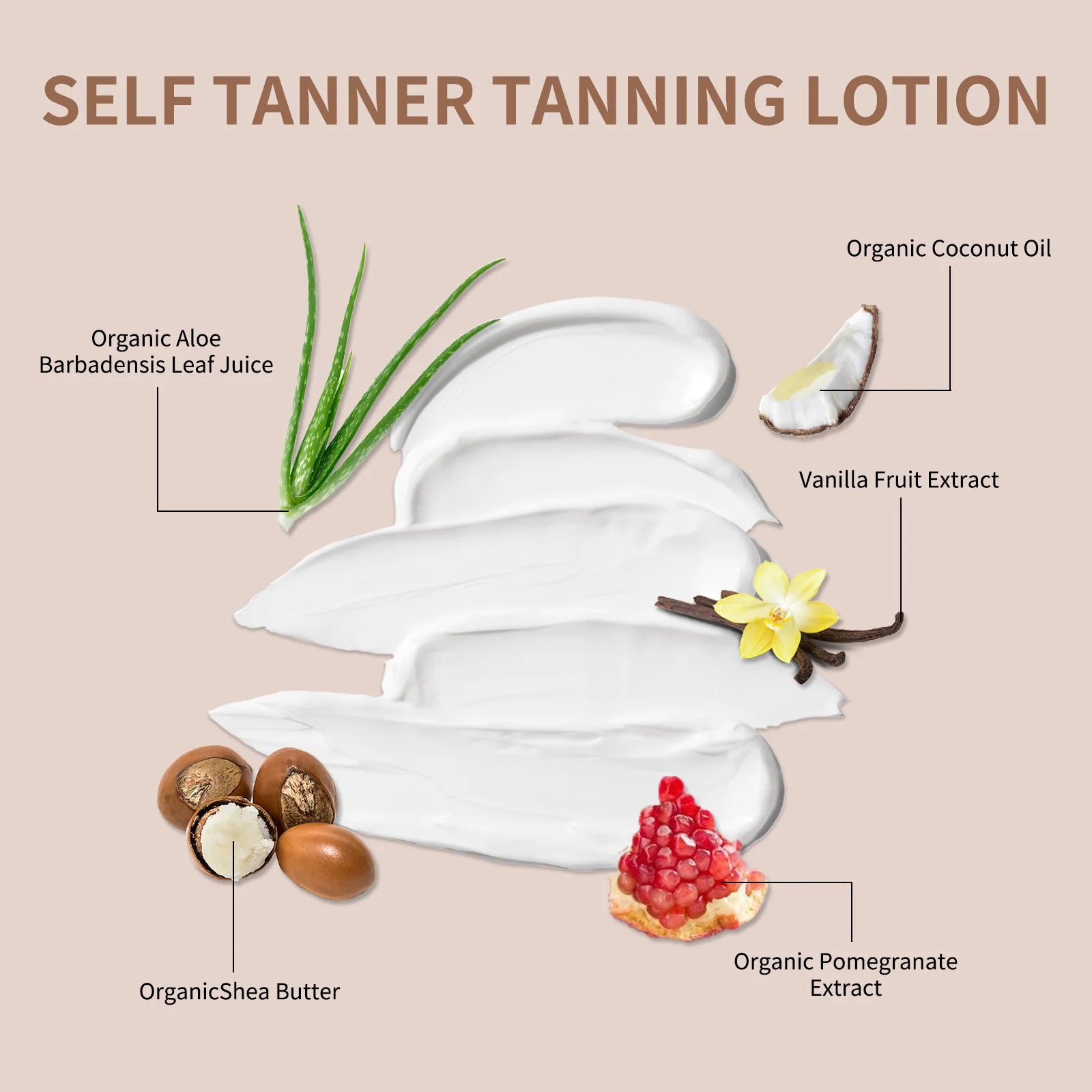 Natural Self-Tanning Lotion for Face & Body – Organic Formula with Aloe & Shea Butter | Medium to Dark Tan | 120ml