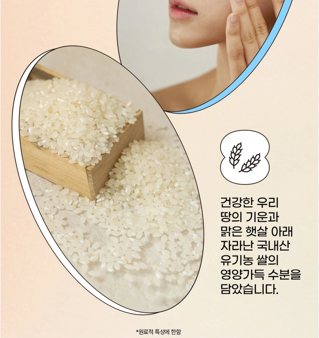 Beauty of Joseon Relief Sun SPF50+ PA++++ Rice + Probiotics Sunscreen (50ml)