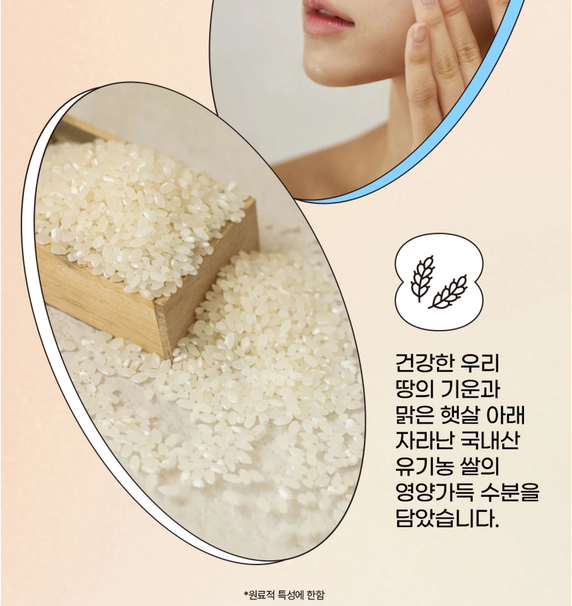 Beauty of Joseon Relief Sun SPF50+ PA++++ Rice + Probiotics Sunscreen (50ml)